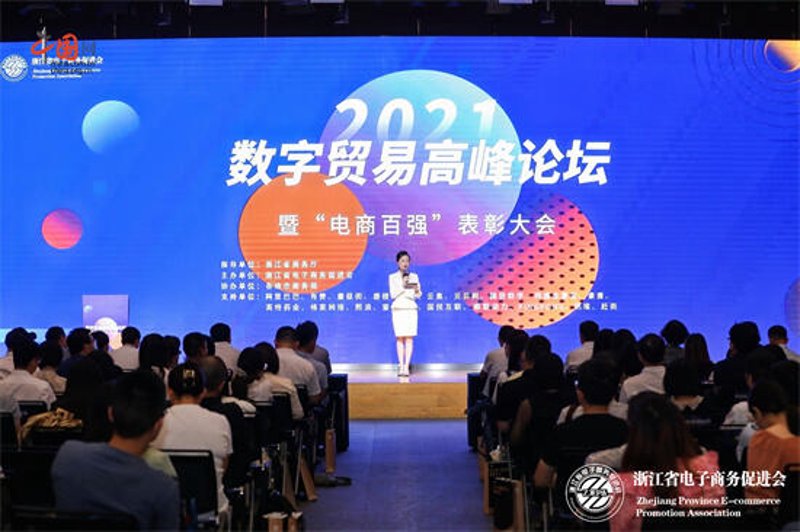 电商行业的浙江新星:推动商业变革的力量
